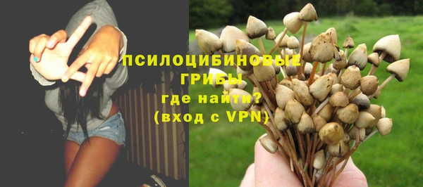 mdpv Бородино