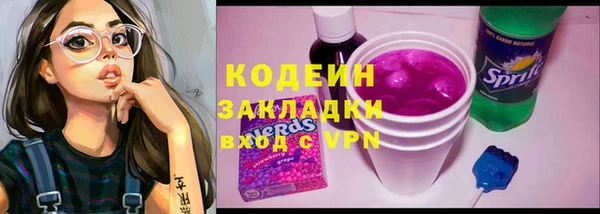 mdpv Бородино