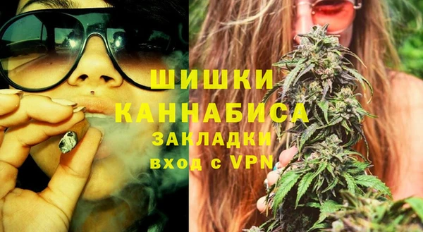 прущие грибы Белокуриха