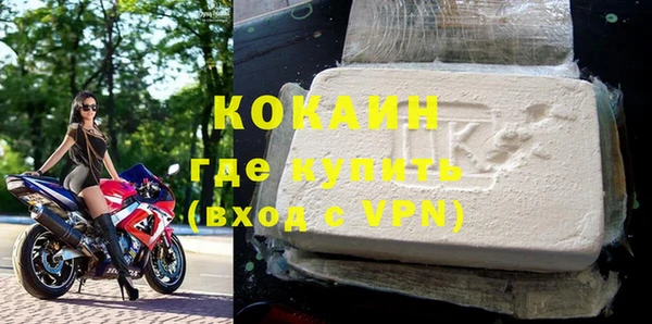mdpv Бородино