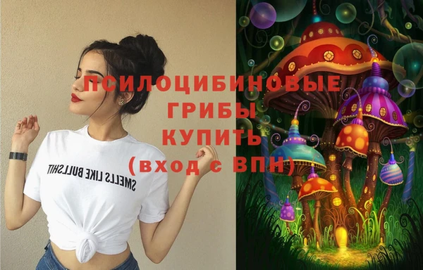 амф Бугульма