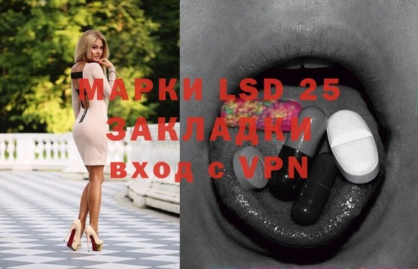 mdpv Бородино