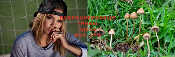 амф Бугульма