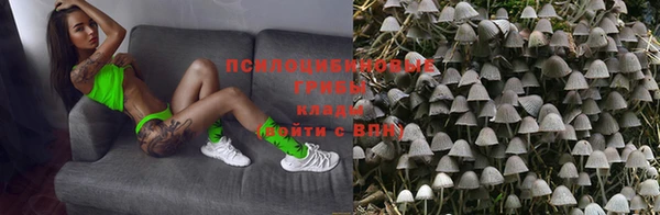 mdpv Бородино