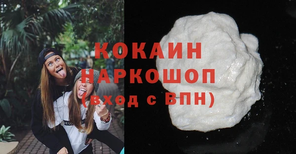 mdpv Бородино